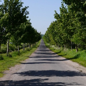 P1060731_edited_small